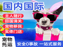 安顺黄果树航空快递国际宠物托运 【国